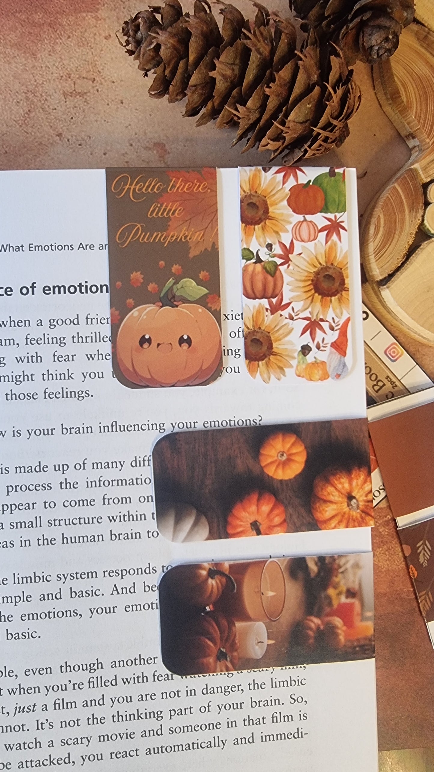 š Autumn Vibes - Magnetic Bookmarks